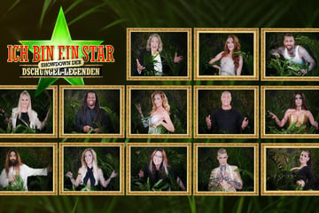 Dschungelcamp: Das sind die 13 Kandidaten des RTL-Sommer-Dschungelcamps