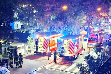 Frankfurt: Schule in Frankfurt brennt: Großeinsatz der Feuerwehr mit mehr als 150 Kräften