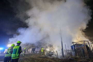Schon wieder Feuer! Brand in Gartenanlage