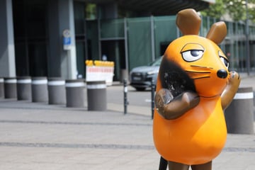 Polizei jagt Täter: So geht es für die Maus nach dem Brandanschlag jetzt weiter