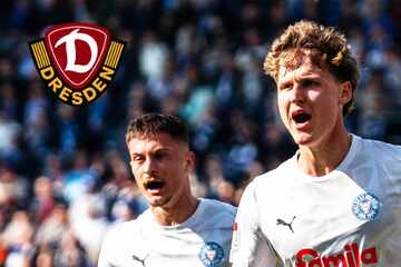 Dynamo-Dresden-Blog: Im Keller wird es jetzt richtig kuschlig