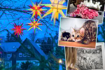 Dresden: Mit diesen 8 Tipps bleibt Ihr am Sonntag garantiert nicht zu Hause