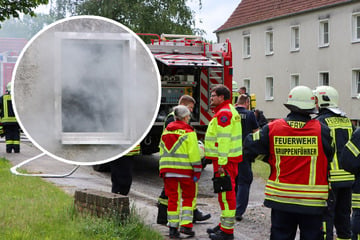 Stube in Flammen: Armer Vierbeiner stirbt bei Wohnungsbrand
