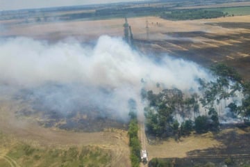 Gleich mehrere Waldbrände an einem Tag: Feuerwehr im Dauereinsatz