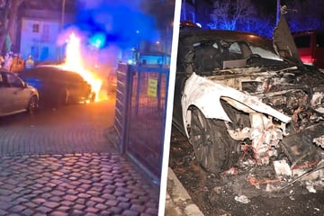 Dresden: Brandstiftung am Alaunpark? Tesla fängt Feuer