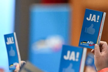 Weniger Chaos, mehr Ordnung: Südwest-AfD verfolgt neue Strategie