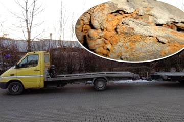 Polizei zieht Sattelschlepper aus dem Verkehr: Der Grund macht fassungslos