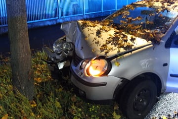 Unfall auf regennasser Straße: Fahranfänger prallt frontal gegen einen Baum