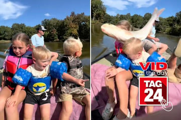 Viral Video of the Day for September 4, 2024: Giant fish plows into boat full of kids!