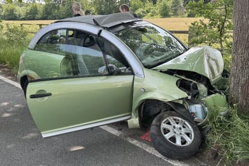 Hund überlebt Horror-Crash: Hubschrauber im Einsatz