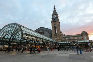 Hamburg: Aufregung am Hamburger Hauptbahnhof: Frau stürzt ins Gleis