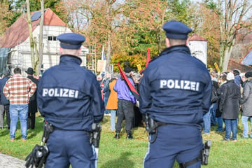 Reichsbürger-Treffen: Polizei schnappt gesuchte Frau, Journalist wird angegriffen