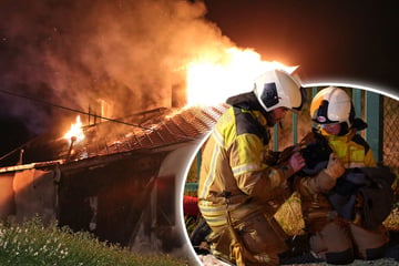 Dresden: Dachstuhlbrand löst Großeinsatz aus: Familie in Klinik, Katze mit Sauerstoff versorgt