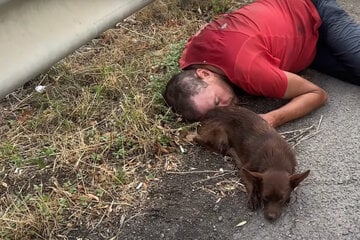 Mann und Hund liegen neben Autobahn: Kurz darauf wird es für beide ernst