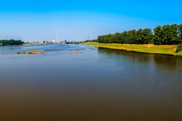 Spaziergänger entdeckt Knochen an der Elbe: Handelt es sich um Leichenteile?