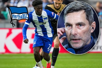 Darum haben Herthas Talente einen schweren Stand: "Wir werden keine Geschenke verteilen"