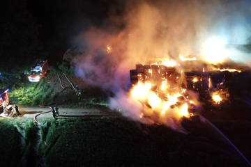 Hunderte Heuballen im Saalekreis in Flammen: Zehntausende Euro Schaden!