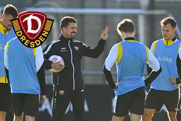 Stamms Strategie für den ersten Dynamo-Heimsieg