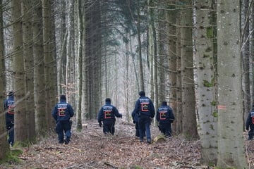 Rätselhafte Spurensuche: Polizei durchforstet Potsdamer Waldgebiet