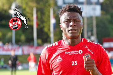 Klassenerhalt perfekt: 1. FC Köln bastelt an Transfer von Abwehr-Talent aus Norwegen
