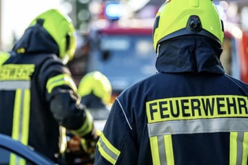 Feuer in Tischlerei: Sechs Menschen verletzt und ein Schaden von 450.000 Euro