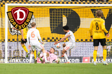 Spannung pur bei Dynamo! Nie trifft das Wort Sechs-Punkte-Spiel mehr zu als am Freitag