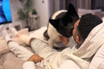 Ex-Fußballprofi geht mit Hund Gassi und muss danach mit mehr als 50 Stichen genäht werden