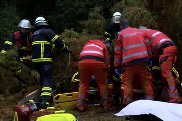 Hamburg: Lebensgefahr! Frau von stürzendem Ast getroffen