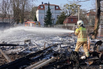 Dresden: Asbest-Alarm in Dresden: Putzaktion des Rathauses wirft Fragen auf