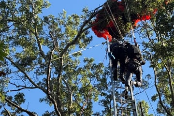 Tragischer Skydive-Unfall: Ausbilder fällt bei Tandemsprung plötzlich ungebremst zu Boden