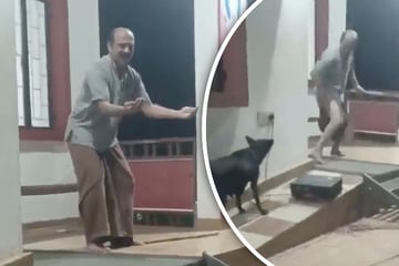 Künstler legt sich mit wilden Hunden an und bekommt die Quittung