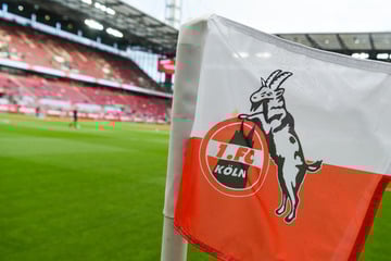 Karnevals-Knall beim 1. FC Köln! Fan-Liebling und Berater entlassen