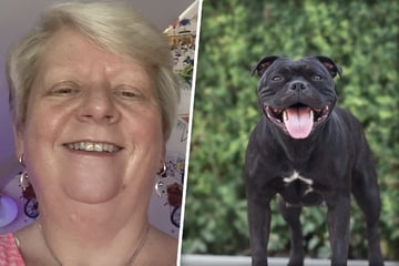 Nach heftigem Rempler ihrer Hündin: Frau tastet ihre Brust ab und macht unheimliche Entdeckung