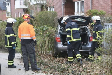Fahrerin erleidet Krampf am Steuer: Dann schießt das Auto in eine Hecke