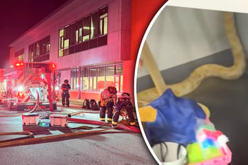 Heftiger Brand in Schule: Riesen-Schlange soll Feuer verursacht haben