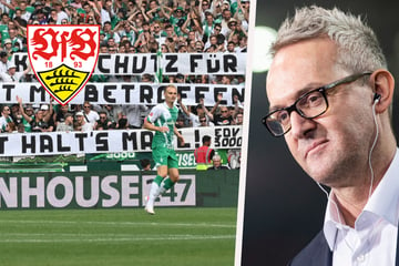 VfB Stuttgart: Boss Wehrle stellt sich nach Schmähplakat vor Karazor