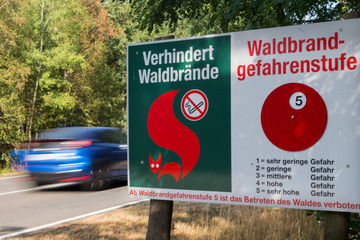 Waldbrandgefahr in Sachsen steigt: Bis Pfingsten brenzlige Lage!