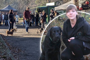 Weihnachtsmarkt für Hunde: Ein festliches Highlight für Vierbeiner und ihre Menschen