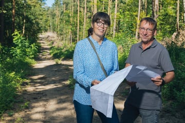 Dresden: Bald Baustart für neue Stromtrasse durch die Heide