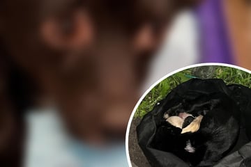 Mann findet Müllbeutel am Straßenrand: Als er hineinschaut, bricht ihm das Herz