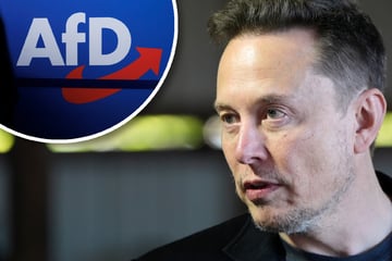 Elon Musk: "Werden böse Überraschung erleben": Welche Prozentzahl die AfD durch Elon Musk erreichen könnte