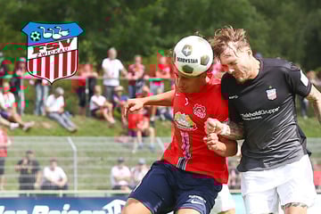 FSV-Verteidiger Sengersdorf kritisch: "Es hat überall gefehlt"