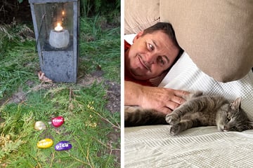 "Zwischen Tüll und Tränen"-Star Herrmann trauert um seine Katze: Was er jetzt vorhat
