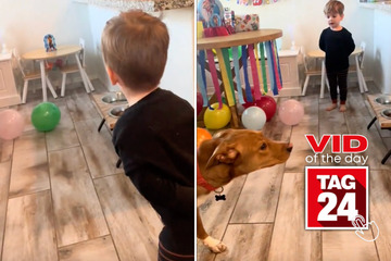 viral videos: Viral Video of the Day for March 25, 2024: Boy gets unpleasant birthday surprise from overexcited dog