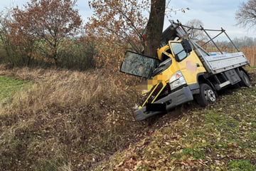 Laster kracht frontal gegen Baum: Fahrer wie durch ein Wunder unverletzt