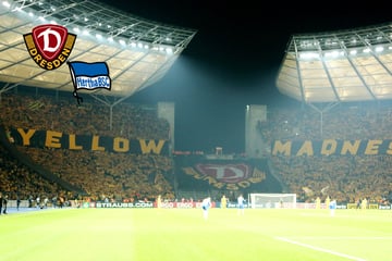 Dynamo-Dresden-Blog: Freier Verkauf ab 10 Uhr! Diese wichtigen Infos hat die SGD zu den Hertha-Tickets