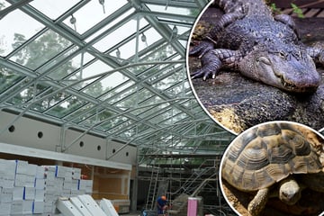Neue Attraktion: Zoo Leipzig eröffnet Ende September weitere Anlage und zeigt neue Tiere