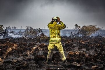 Mega-Waldbrand an NRW-Grenze: Wird sich das Moor jemals wieder erholen?