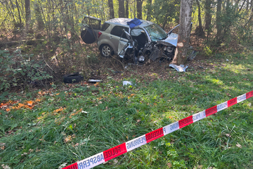 Mordkommission ermittelt! Mutter fährt absichtlich in Baum und attackiert ihre Kinder