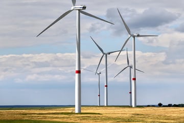 Trotz Widerstand: Umstrittener Windrad-Ausbau in Sachsen geht weiter